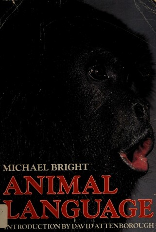 Book cover for Animal Language Pb