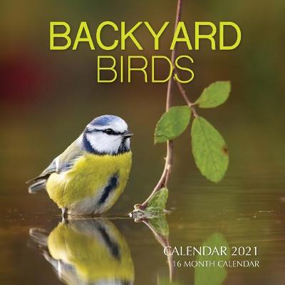 Book cover for Backyard Birds Calendar 2021