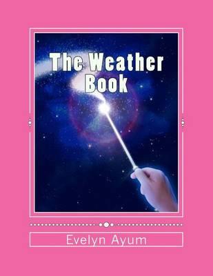 Book cover for The Weather Book