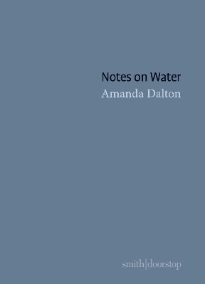 Book cover for Notes on Water