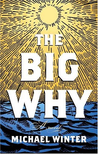 Book cover for Big Why