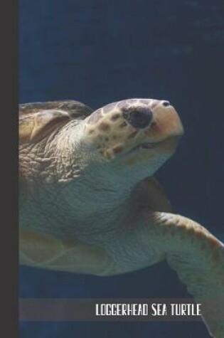 Cover of Loggerhead Sea Turtle
