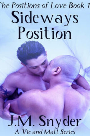 Cover of The Positions of Love Book 12