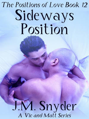 Book cover for The Positions of Love Book 12