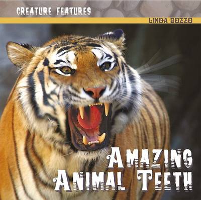 Book cover for Amazing Animal Teeth