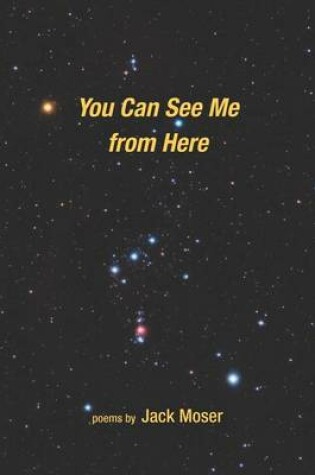 Cover of You Can See Me from Here