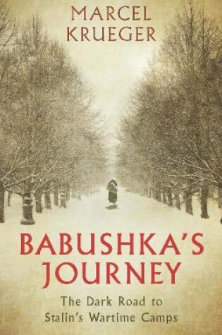 Cover of Babushka's Journey