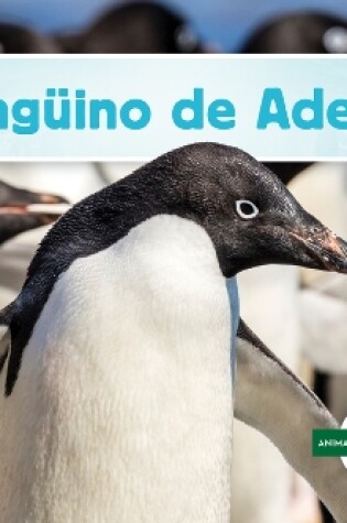 Cover of Ping�ino de Adelia