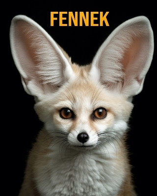 Book cover for Fennek