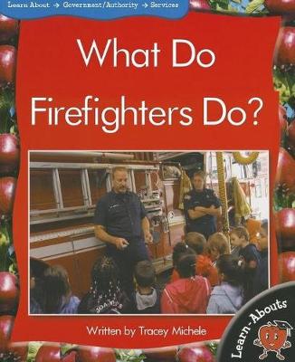 Book cover for Learnabouts Lvl 9: What Do Firefighters D
