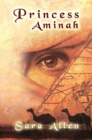 Cover of Princess Aminah