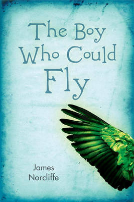 Book cover for The Boy Who Could Fly