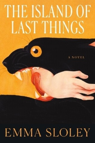 Cover of The Island of Last Things