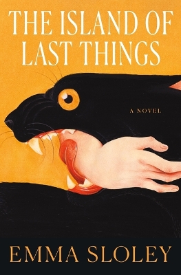 Book cover for The Island of Last Things