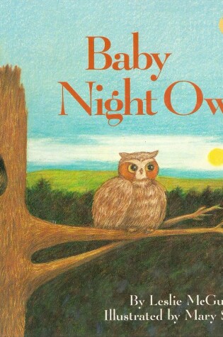 Cover of Baby Night Owl