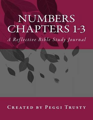 Book cover for Numbers, Chapters 1-3