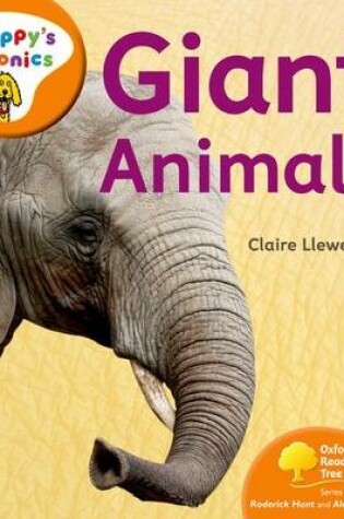 Cover of Oxford Reading Tree: Stage 6: Floppy's Phonics Non-fiction: Giant Animals