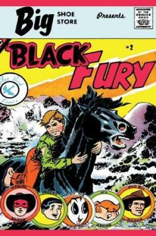 Cover of Black Fury # 2