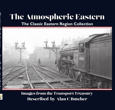 Book cover for The Atmospheric Eastern