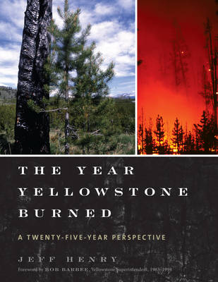 Book cover for The Year Yellowstone Burned