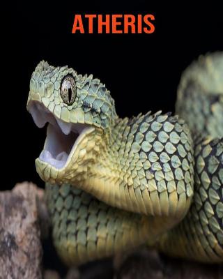 Book cover for Atheris