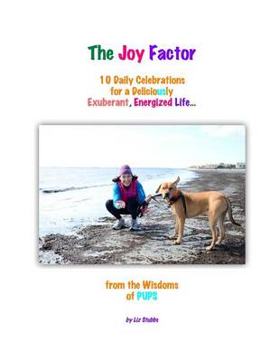 Book cover for The Joy Factor