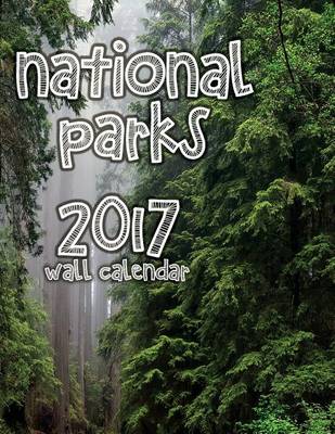 Book cover for National Parks 2017 Wall Calendar