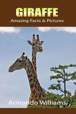 Cover of Giraffe