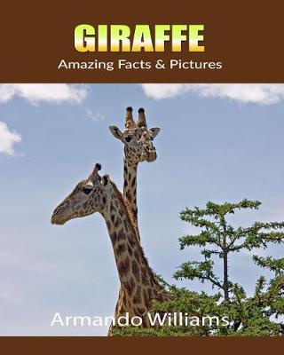 Book cover for Giraffe