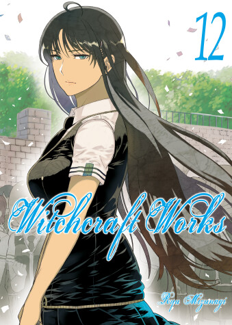 Cover of Witchcraft Works 12