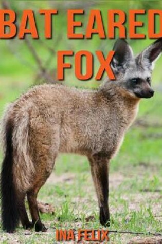 Cover of Bat Eared Fox