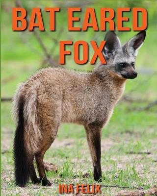 Book cover for Bat Eared Fox