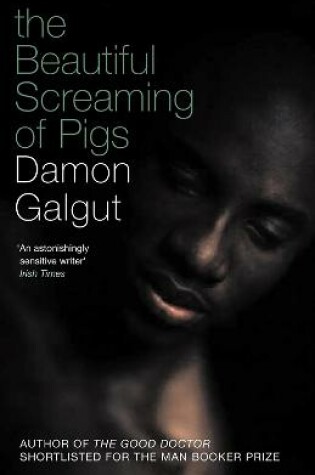 Cover of The Beautiful Screaming of Pigs