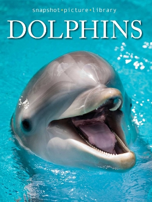 Cover of Dolphins