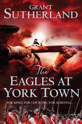 Book cover for The Eagles at York Town