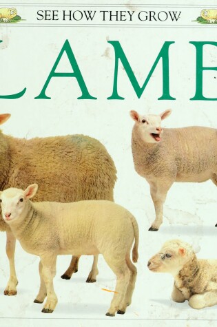 Cover of Burton Jane Watts : Lamb