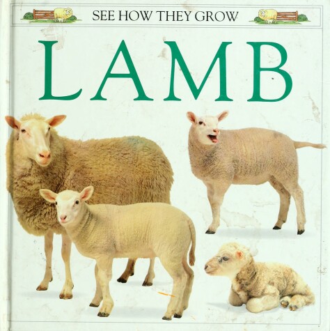 Book cover for Burton Jane Watts : Lamb