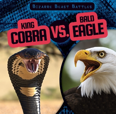 Book cover for King Cobra vs. Bald Eagle