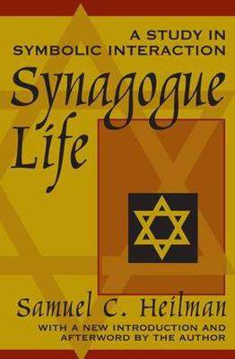 Book cover for Synagogue Life