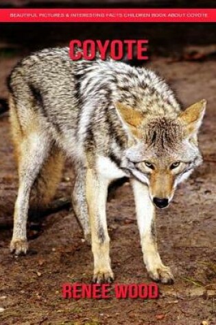 Cover of Coyote