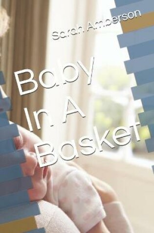 Cover of Baby In A Basket