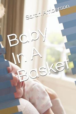 Book cover for Baby In A Basket
