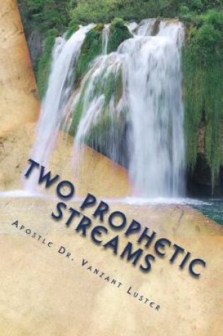 Cover of Two Prophetic Streams