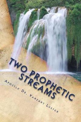 Book cover for Two Prophetic Streams