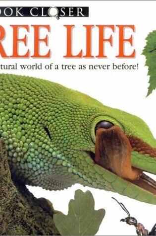 Cover of Tree Life