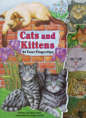 Book cover for Cats and Kittens