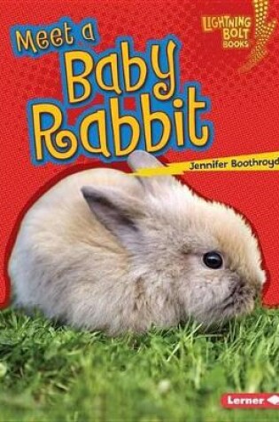 Cover of Meet a Baby Rabbit