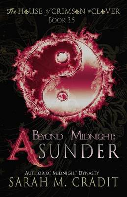 Book cover for Beyond Midnight