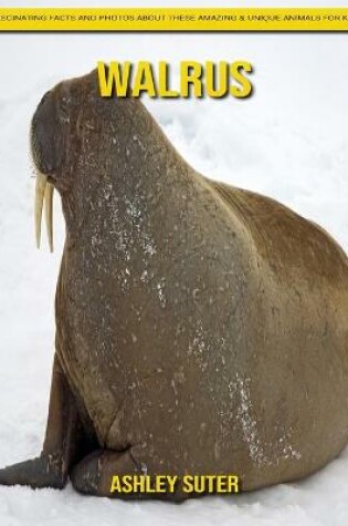 Cover of Walrus