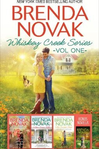 Cover of Brenda Novak Whiskey Creek Series Vol 1/When We Touch/When Lightning Strikes/When Snow Falls/When Summer Comes
